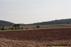 IMG 7210